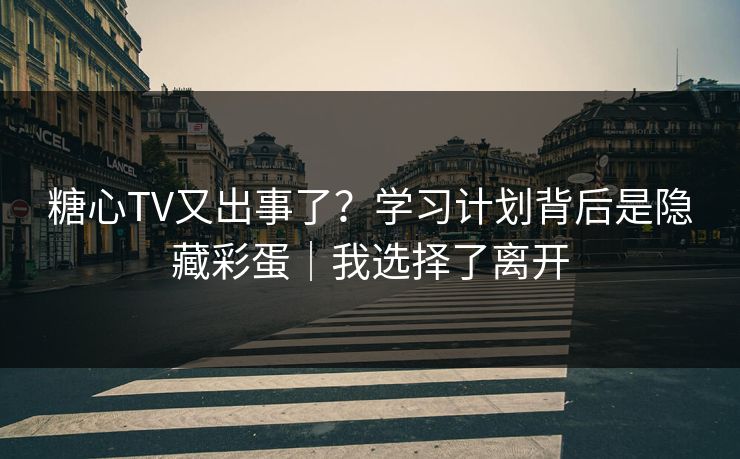 糖心TV又出事了？学习计划背后是隐藏彩蛋｜我选择了离开