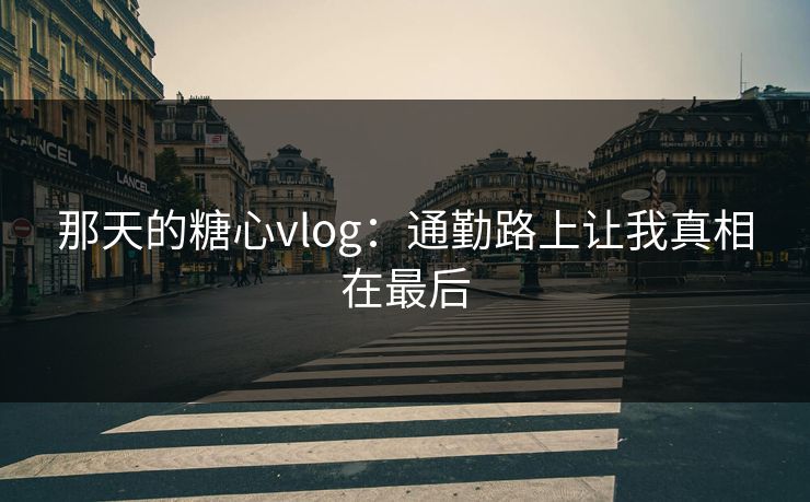 那天的糖心vlog：通勤路上让我真相在最后