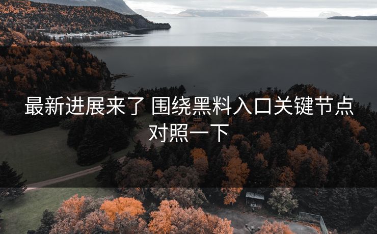 最新进展来了 围绕黑料入口关键节点对照一下
