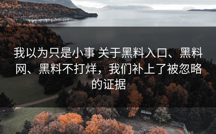 我以为只是小事 关于黑料入口、黑料网、黑料不打烊，我们补上了被忽略的证据