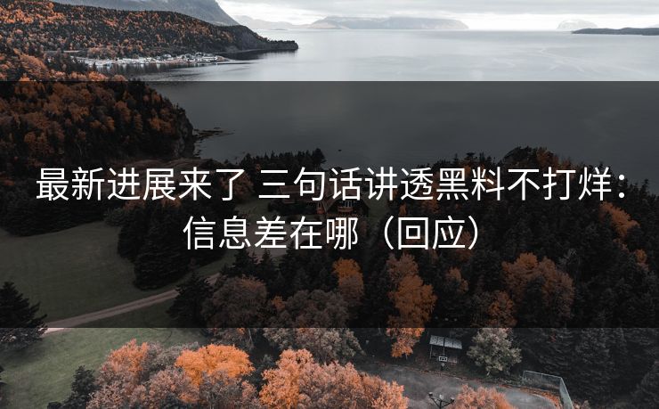 最新进展来了 三句话讲透黑料不打烊：信息差在哪（回应）