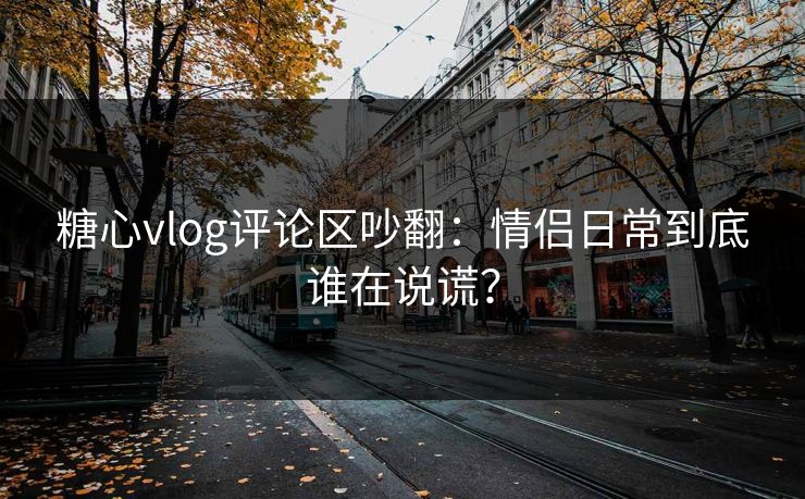 糖心vlog评论区吵翻：情侣日常到底谁在说谎？