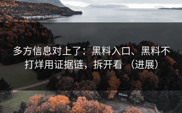 多方信息对上了：黑料入口、黑料不打烊用证据链，拆开看 （进展）
