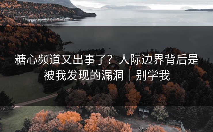 糖心频道又出事了？人际边界背后是被我发现的漏洞｜别学我