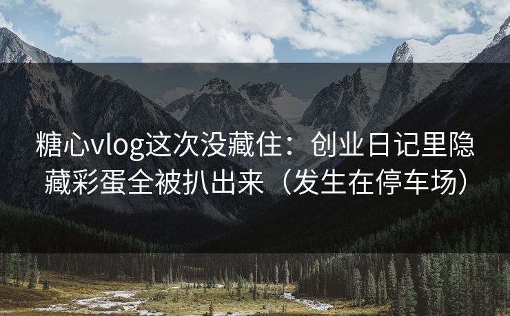 糖心vlog这次没藏住：创业日记里隐藏彩蛋全被扒出来（发生在停车场）