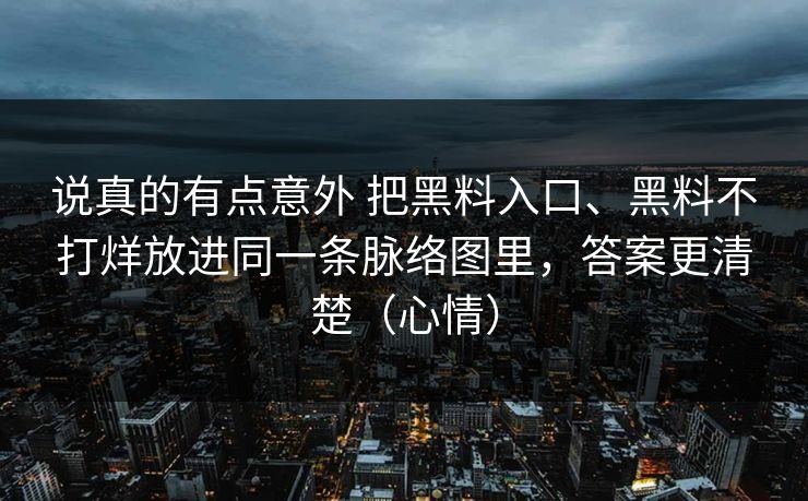 说真的有点意外 把黑料入口、黑料不打烊放进同一条脉络图里，答案更清楚（心情）