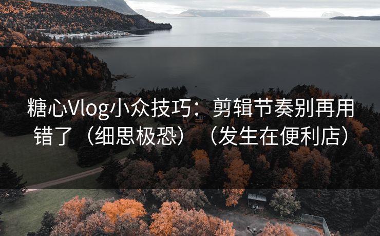 糖心Vlog小众技巧：剪辑节奏别再用错了（细思极恐）（发生在便利店）