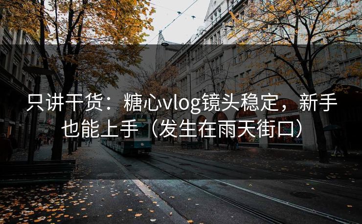 只讲干货：糖心vlog镜头稳定，新手也能上手（发生在雨天街口）