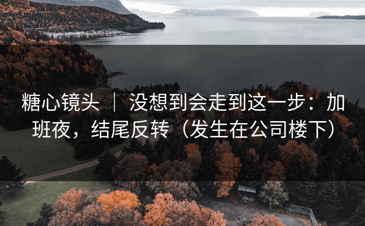 糖心镜头 ｜ 没想到会走到这一步：加班夜，结尾反转（发生在公司楼下）
