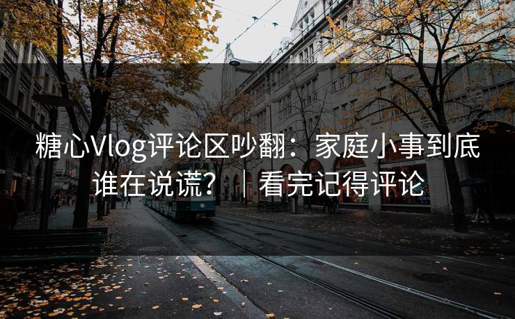 糖心Vlog评论区吵翻：家庭小事到底谁在说谎？｜看完记得评论