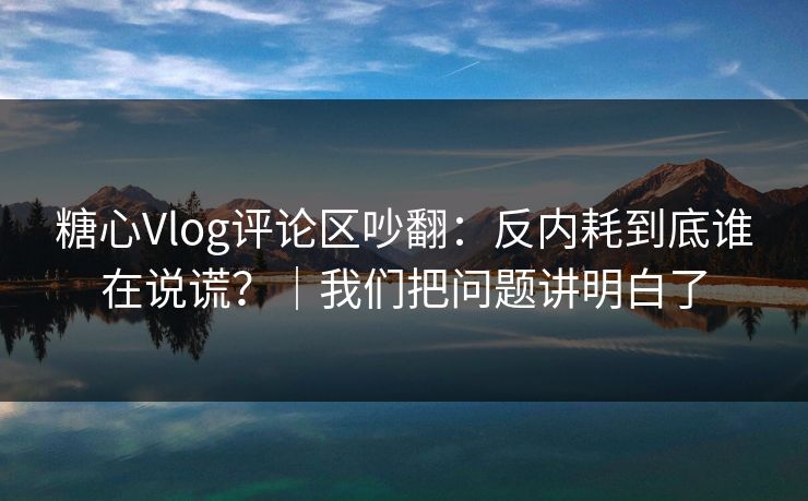 糖心Vlog评论区吵翻：反内耗到底谁在说谎？｜我们把问题讲明白了