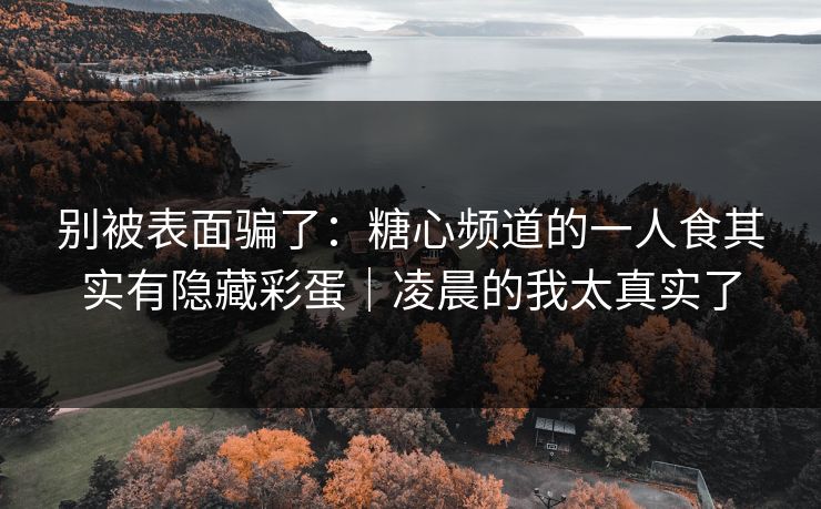 别被表面骗了：糖心频道的一人食其实有隐藏彩蛋｜凌晨的我太真实了