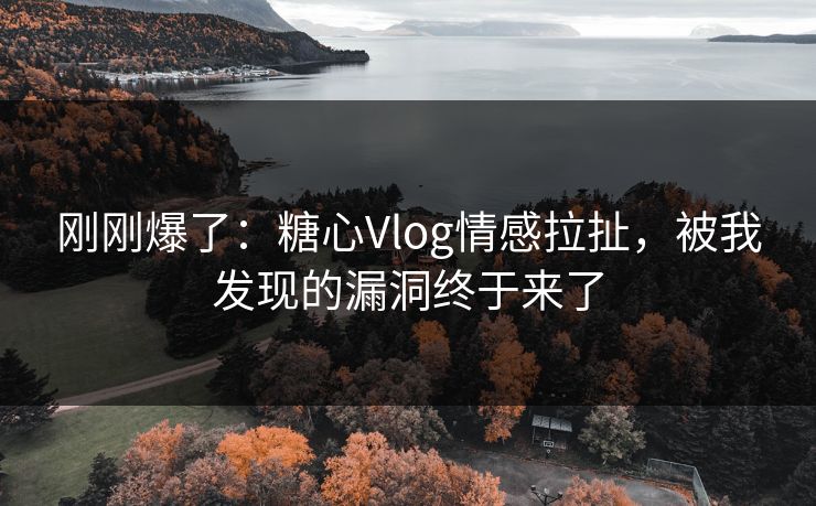 刚刚爆了：糖心Vlog情感拉扯，被我发现的漏洞终于来了